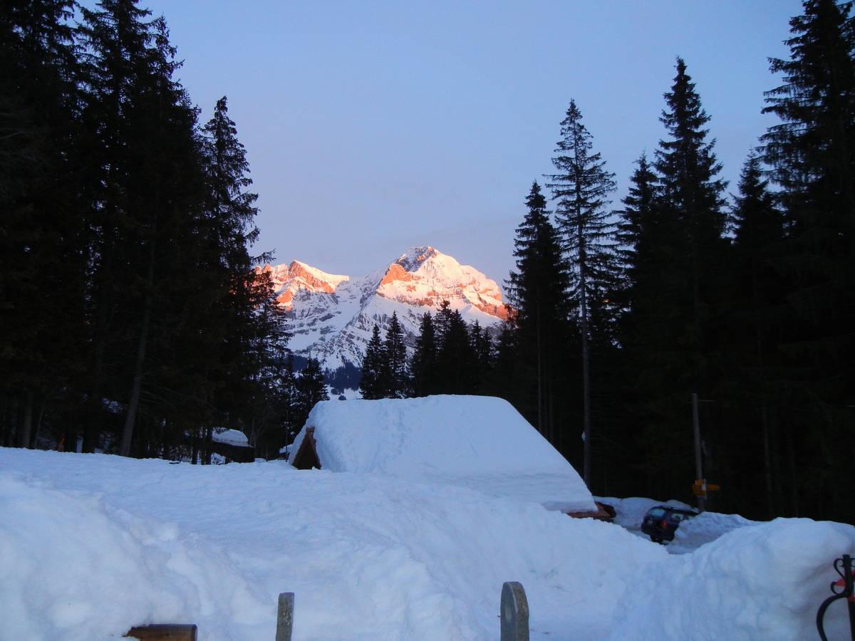 Restaurant Hotel Schermtanne Adelboden Exterior photo